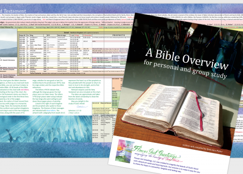 A Bible Overview — for personal and group study 